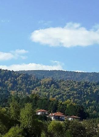 Вили Green Tsigov Chark Bagian luar foto