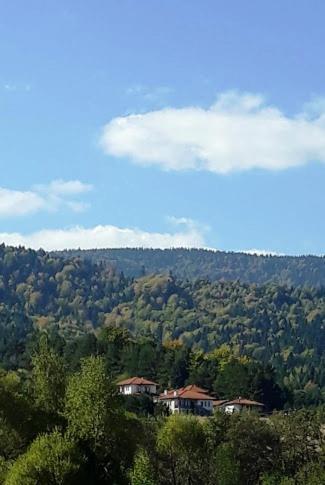 Вили Green Tsigov Chark Bagian luar foto