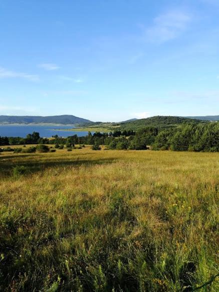 Вили Green Tsigov Chark Bagian luar foto